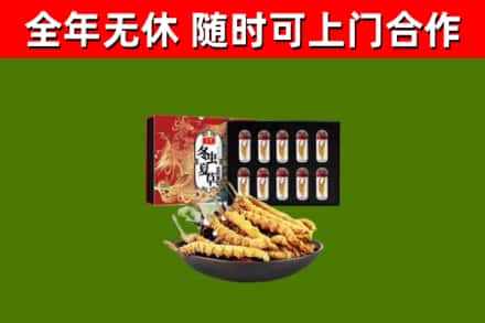 江夏区回收冬虫夏草价格